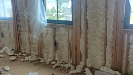 Spray Foam