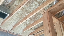 Spray Foam