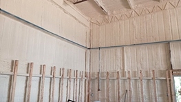 Spray Foam